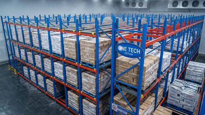 Kệ Push Back Cà Mau giúp tối ưu kho lạnh thủy sản