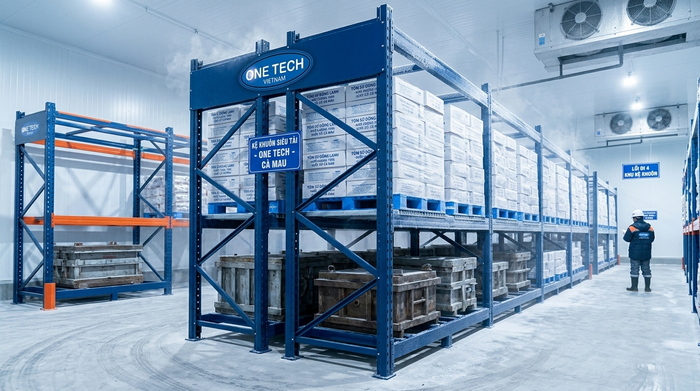 Kệ tải trọng nặng Cà Mau cho kho lạnh thủy sản